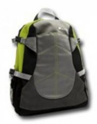 Чанта за лаптоп Canyon CNF-NB03G 12"